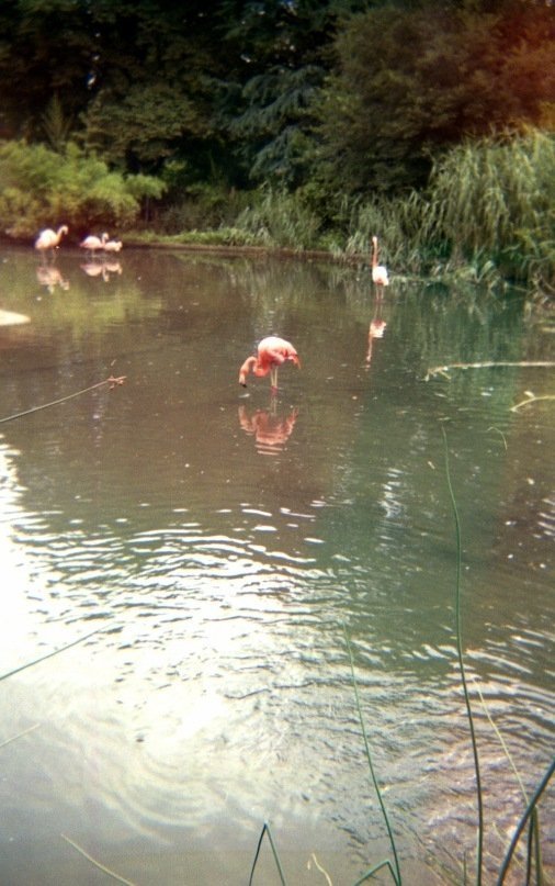 Фотовиставка Юлії Ткаченко