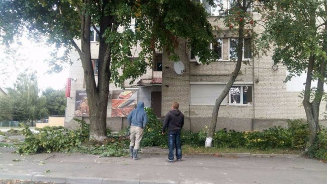 У Луцьку намагалися незаконно зрізати гілля дерева