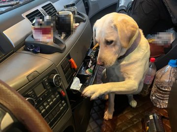 У далекобійника на «Ягодині» наркотики знайшов пес