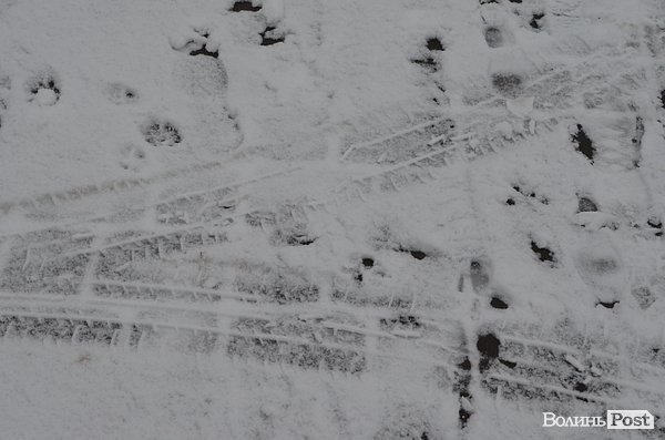 Луцьк засипає снігом. ФОТО