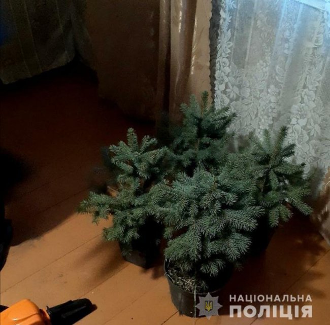 Раніше судимого волинянина затримали за крадіжку з автомобіля 