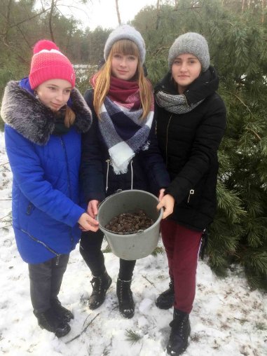  Волинські школярі ходили у «шишкову експедицію». ФОТО