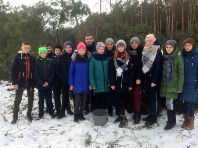  Волинські школярі ходили у «шишкову експедицію». ФОТО