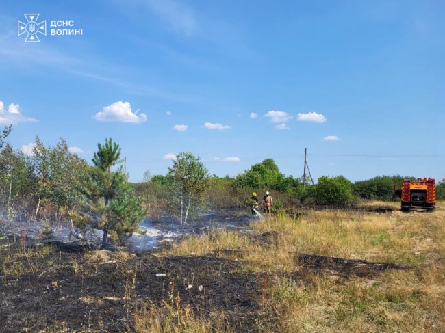 На Волині горіло пшеничне поле. ФОТО