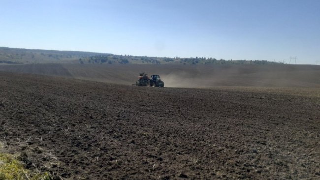 Польові роботи на Волині: як фермери збирають врожай. ВІДЕО