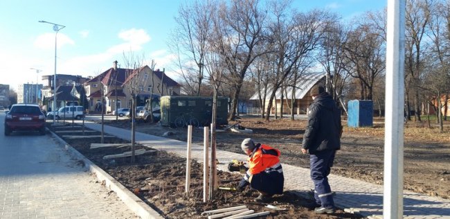 У Ковелі висадили алею сакур. ФОТО