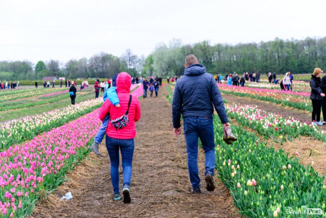 Попри негоду «Волинська Голландія» гостинно зустрічає гостей. ФОТО