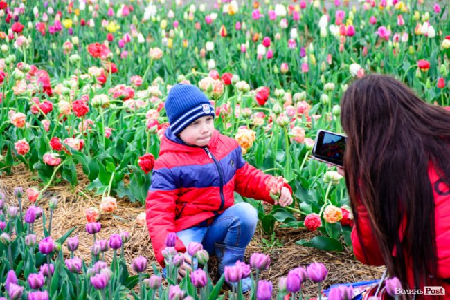 Попри негоду «Волинська Голландія» гостинно зустрічає гостей. ФОТО