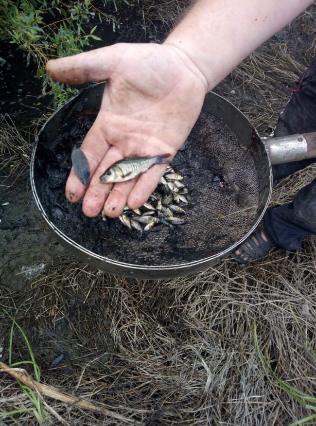 Луцькі рибалки спільно з патрулем переселили понад 80 кілограмів малька. ФОТО
