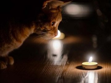 Де у Луцьку не буде світла у понеділок, 3 червня