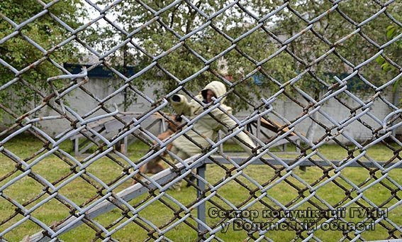 Луцькі школярі побували в гостях у кінологів. ФОТО