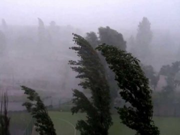 Волинян попереджають про сильний вітер