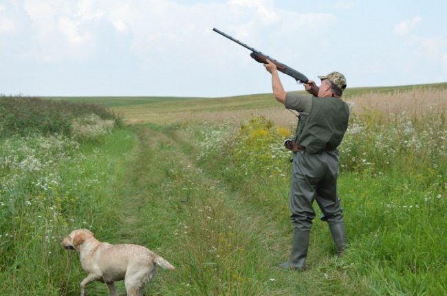 Як на Волині мисливці полювали на пернатих. ФОТО
