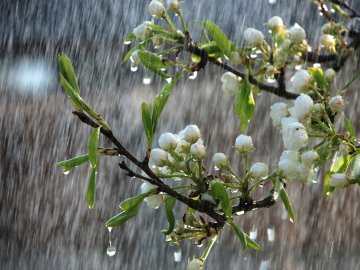 Погода у Луцьку на завтра, 29 квітня