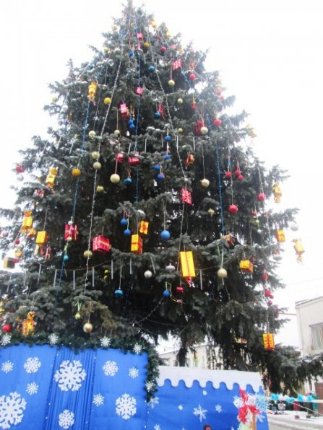 Ціна краси: головні новорічні ялинки Волині