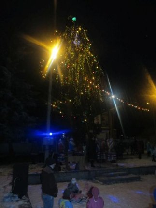 Ціна краси: головні новорічні ялинки Волині