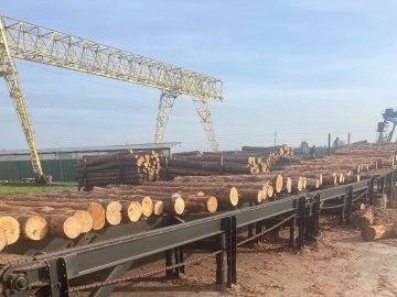 Майно лісгоспу на Волині виставили на аукціон за три мільйони