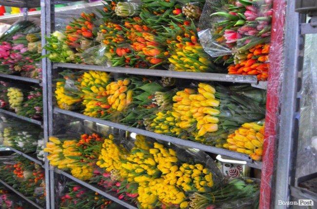 Де у Луцьку недорого купити квіти до свята. АДРЕСИ. ФОТО