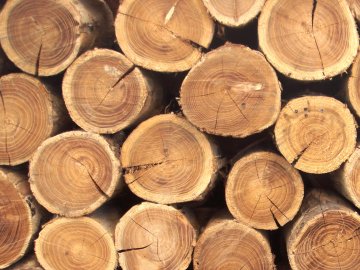 На Волині затримали трактор з незаконною деревиною 