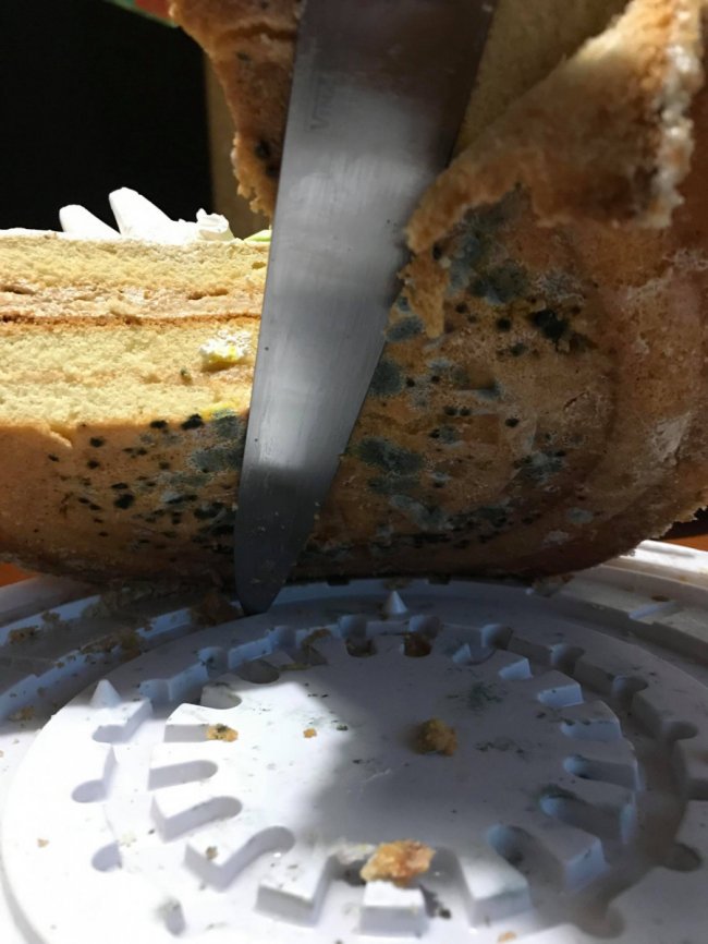 Ковельчанці продали торт із пліснявою. ФОТО