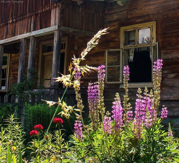 Львів.Шевченківський гай