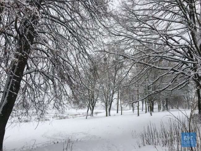 Нововолинськ у полоні зими: як комунальники чистять дороги. ФОТО
