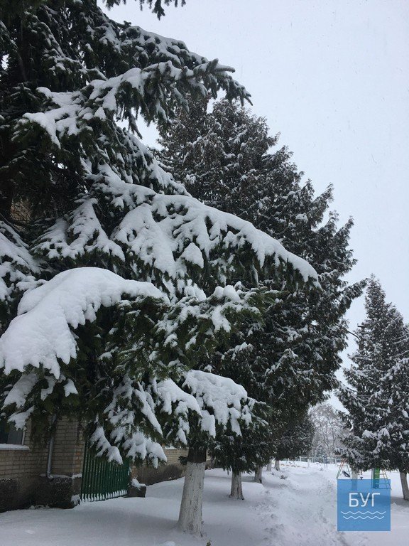 Нововолинськ у полоні зими: як комунальники чистять дороги. ФОТО