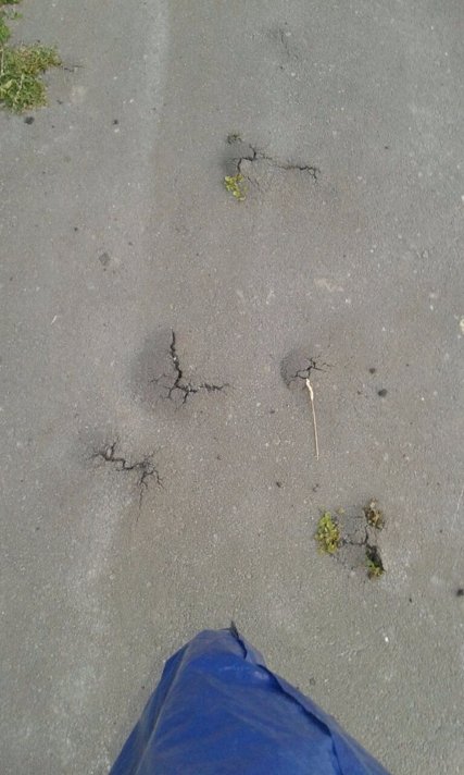 Через асфальт проростає трава: як на Волині ремонтують дороги