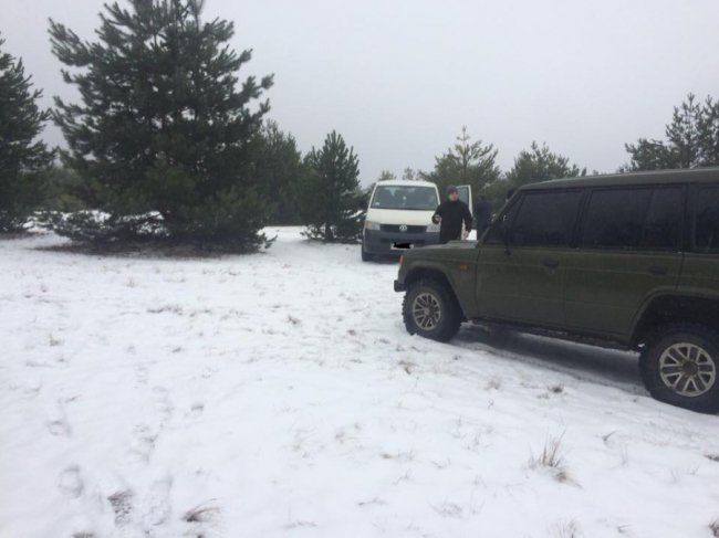 На Волині затримали «ялинкорубів». ФОТО