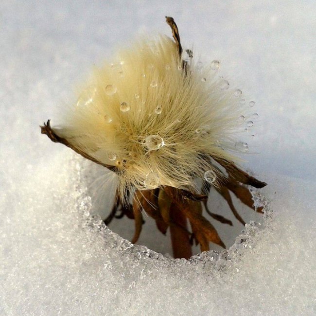 Краса волинської зими. ФОТО