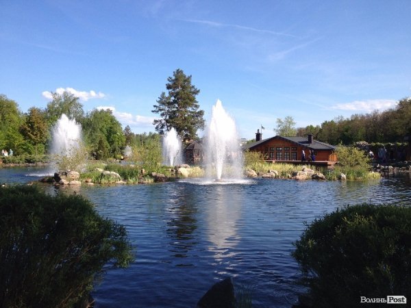 На вихідні -  у «Межигір'я». ФОТО 