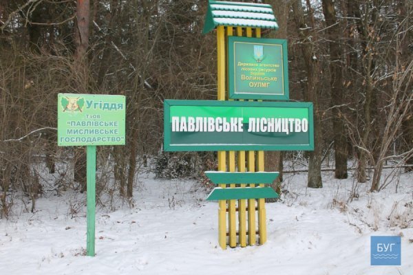 Зима у волинському лісі: тиша, краса та турбота про тварин