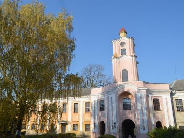 Відновити замок та збудувати ратушу: як планують «відроджувати» Олику. ФОТО