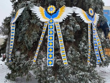 У Луцьку на Театральному майдані прикрашають головні ялинки міста. ФОТО