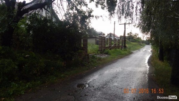 Внаслідок шквальної зливи під Луцьком попадали дерева. ФОТО