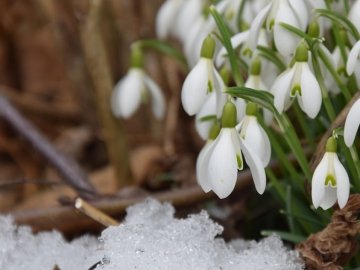 Народний синоптик з Волині розповів, якою буде погода весною