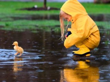 Погода в Луцьку та Волинській області на п’ятницю, 7 вересня