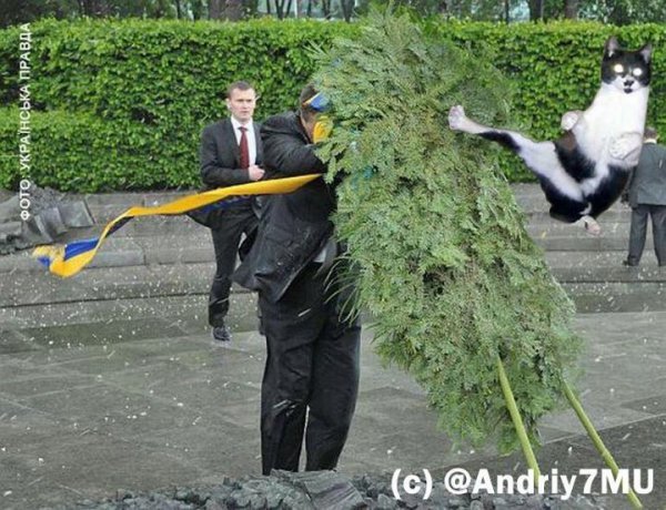 Бабуся і кіт: фотожабоманія триває. ФОТО