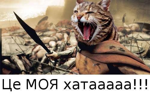 Бабуся і кіт: фотожабоманія триває. ФОТО