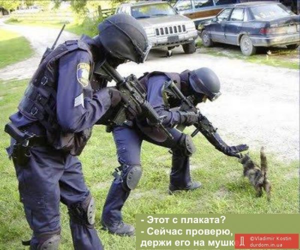 Бабуся і кіт: фотожабоманія триває. ФОТО