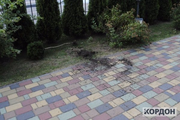 У Світязі побилась п’яна молодь: нападниця залишилась без зубів. ФОТО