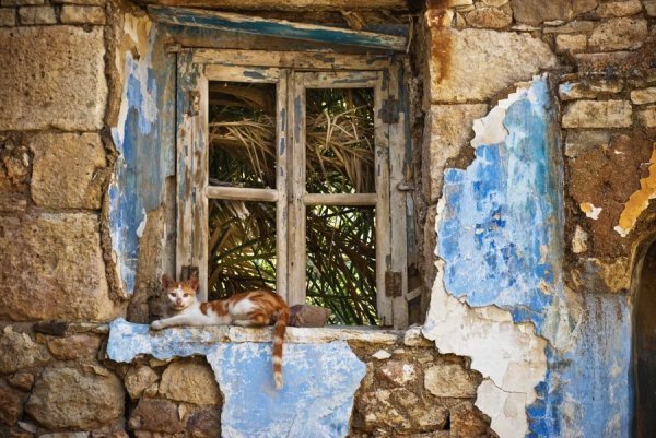 Фотовиставка Ніни Ліщук