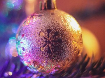 Переможуть кохання та ЗСУ: добрі новини від ВолиньPost за 2 січня 