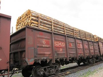 Волинянин допомагав львів’янам поцупити 12 вагонів лісу