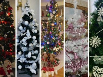 Новорічні ялинки відомих волинян