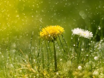 Якою буде погода у Луцьку та Волинській області завтра, 23 травня