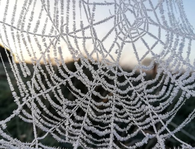 Волинський медійник поділився «морозними» світлинами