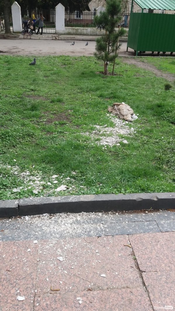 У Луцьку демонтували пам’ятник Степану Бойку. ФОТО 