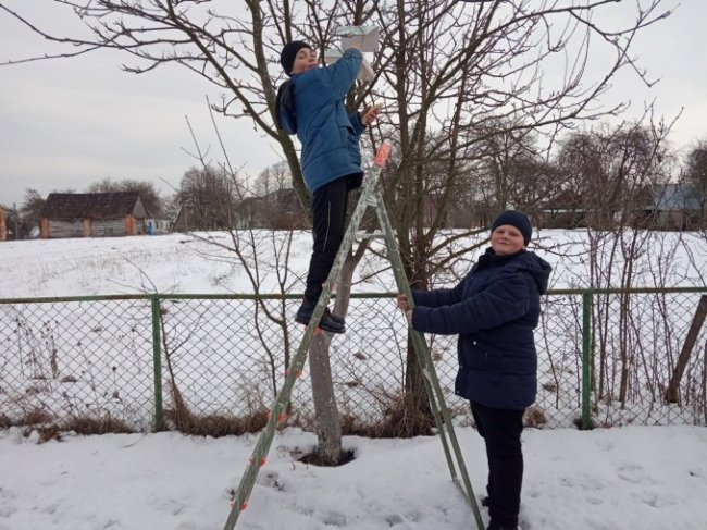 У дворі волинської школи з'явився «ресторанчик» для птахів. ФОТО