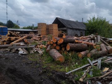 На Волині наклали арешт на незаконну деревину